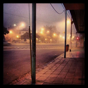 Una mañana de niebla en Villa Luro