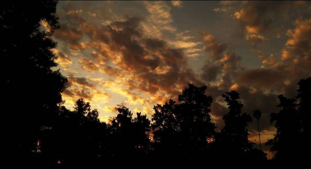 Una mañana de sol